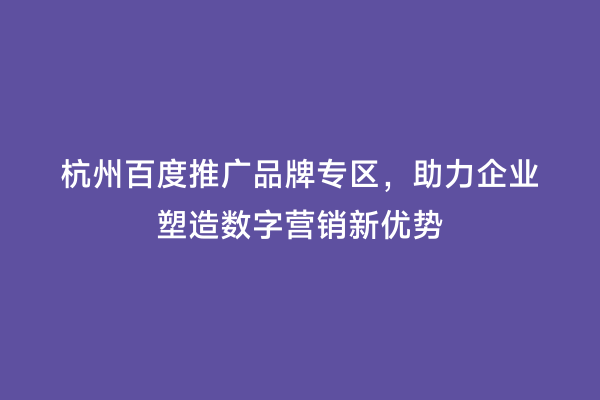 杭州百度推广品牌专区，助力企业塑造数字营销新优势