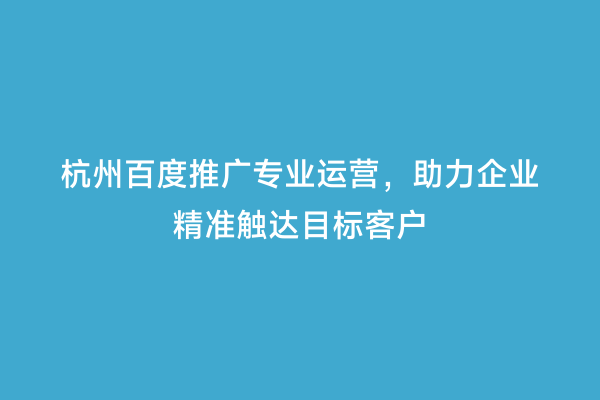 杭州百度推广专业运营，助力企业精准触达目标客户