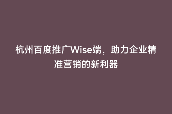 杭州百度推广Wise端，助力企业精准营销的新利器