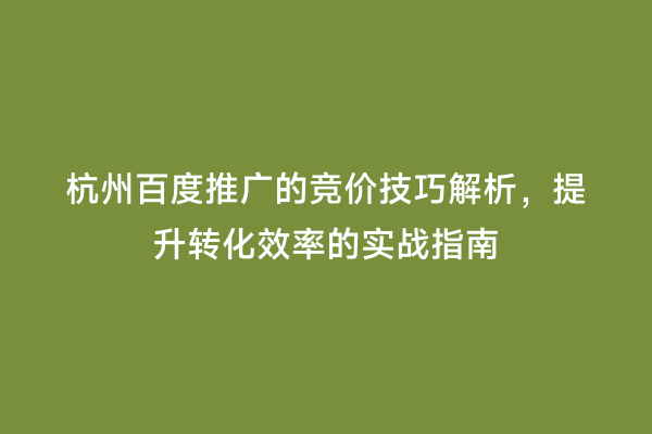 杭州百度推广的竞价技巧解析，提升转化效率的实战指南